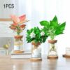 1PC Terrarium Glass BottleHydroponic Plant Pot with Wooden Cork for Home Decor