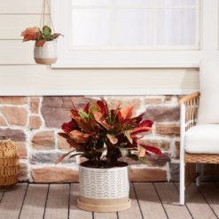 6/12inch Nested Planters Flower Pot For Indoor Plants,  2-Pack