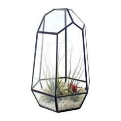 Closed Irregular Geometric Glass Terrarium Plant Pot with Door