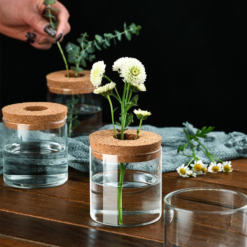 Creative Mini Hydroponic Plants Flower Pot - Image 3