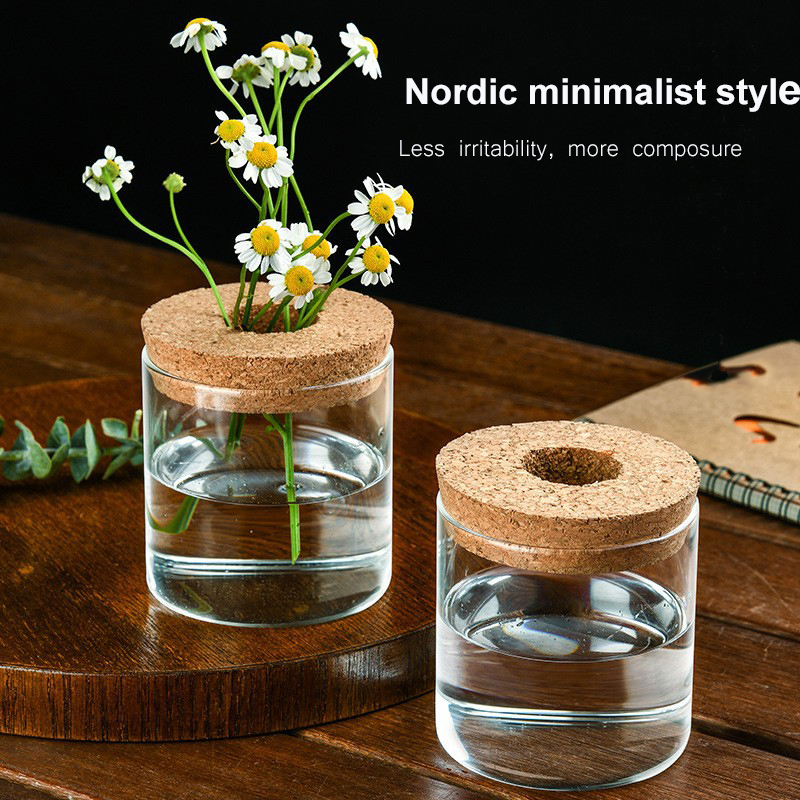 Creative Mini Hydroponic Plants Flower Pot - Image 4