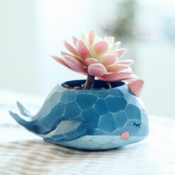 Cute Whale Plant Pots For Succulents