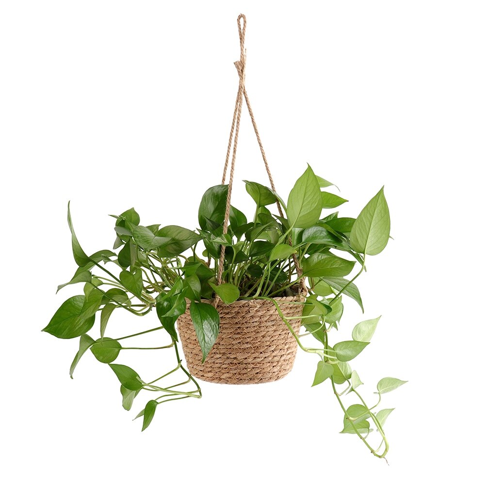 Garden Hanging Planter Macrame Plant Storage Basket Jute Rope Woven Indoor Outdoor Flower Pot Holder Plant Hangers Home Decor - Image 2