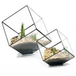 Geometric Cubes Hydroponic Transparent Glass Terrarium Plant Pot