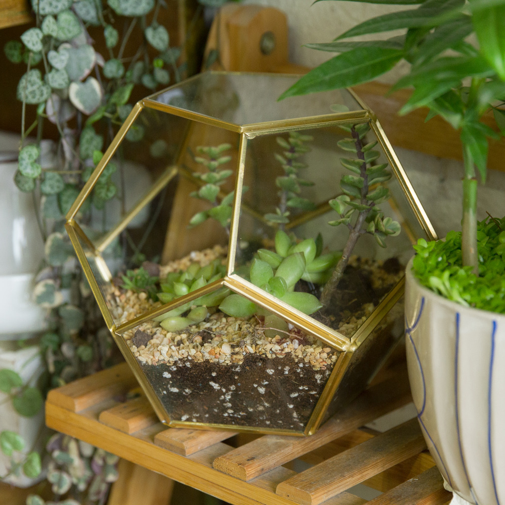 Copper Pentagon Ball Shape Glass Terrarium Plants Pot Home Decor - Image 8