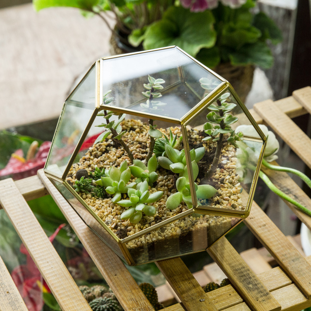 Copper Pentagon Ball Shape Glass Terrarium Plants Pot Home Decor - Image 4