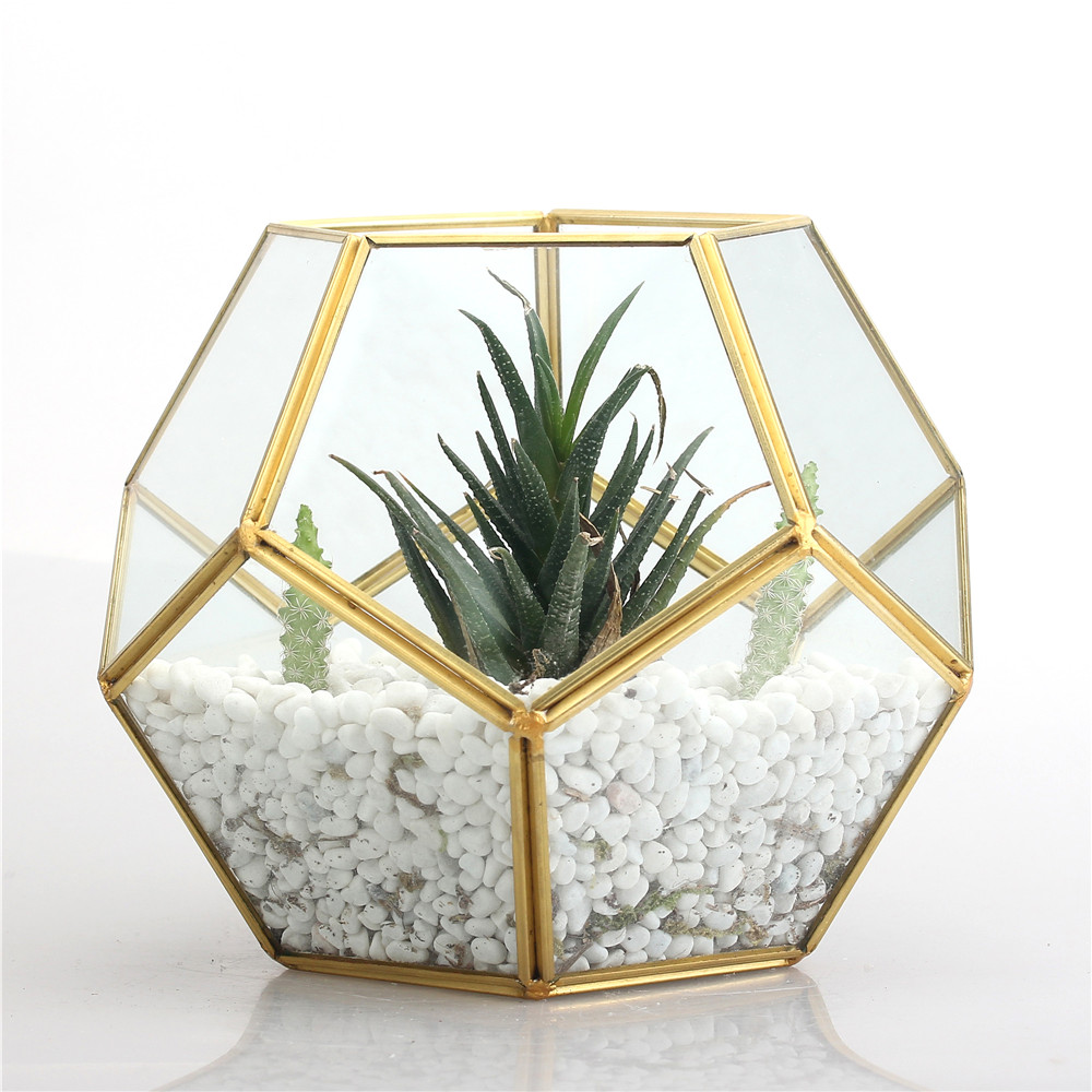 Copper Pentagon Ball Shape Glass Terrarium Plants Pot Home Decor - Image 6