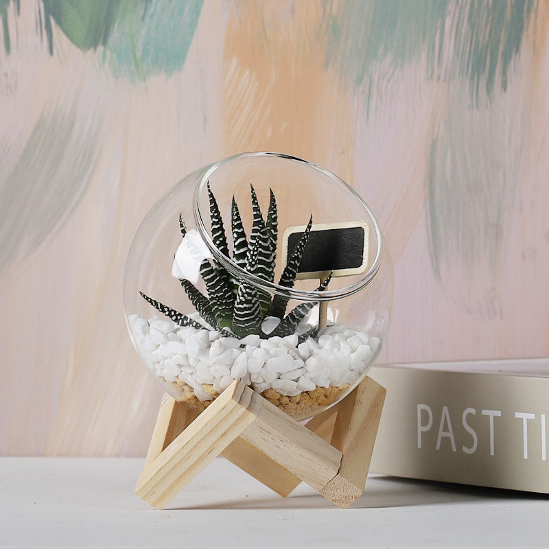 Nordic Style Transparent Glass Terrarium Flower Pot with Wooden Holder - Image 3