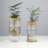 Mini Hydroponic Transparent Terrarium Glass Flower Plant Pot