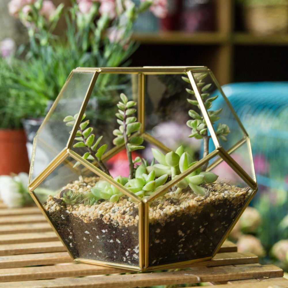 Copper Pentagon Ball Shape Glass Terrarium Plants Pot Home Decor - Image 5