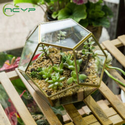 Copper Pentagon Ball Shape Glass Terrarium Plants Pot Home Decor