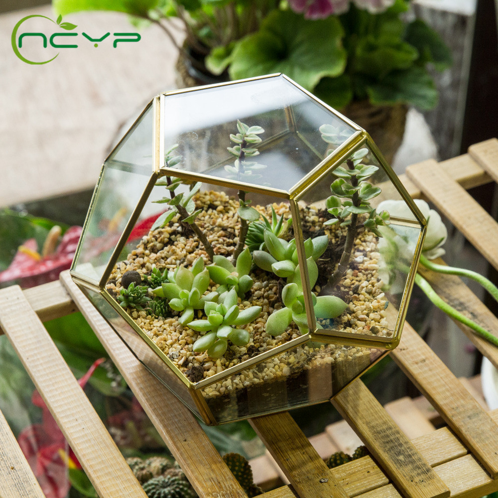 Copper Pentagon Ball Shape Glass Terrarium Plants Pot Home Decor