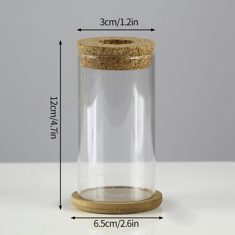 Mini Hydroponic Transparent Terrarium Glass Flower Plant Pot - Image 4