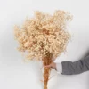 30g Dried Baby Breath Flowers Bouquets Home Decoration