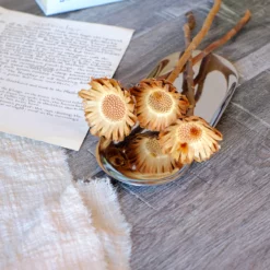 3PCS Natural Dried Gerbera Daisy Flowers Branch Home Decoration