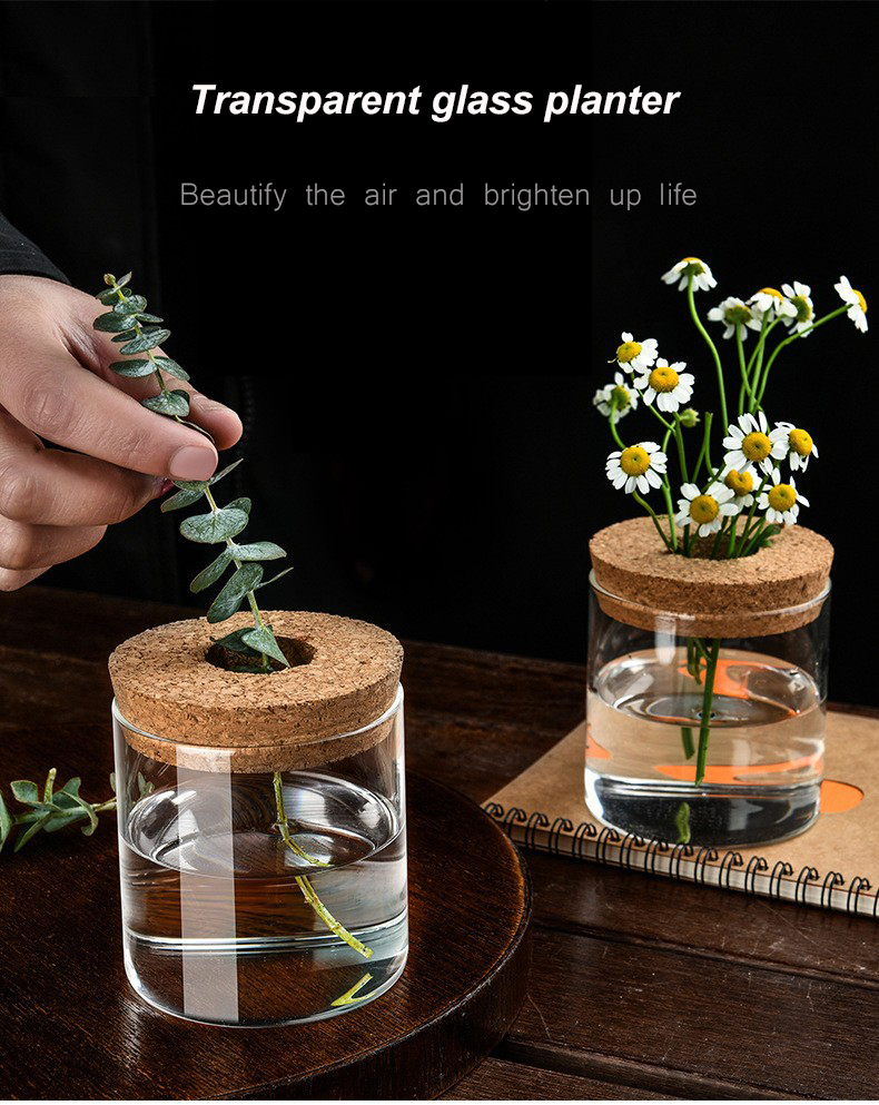Creative Mini Hydroponic Plants Flower Pot - Image 5
