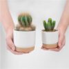 2PCS/Set Indoor Garden Cactus Pot With Drainage Hole