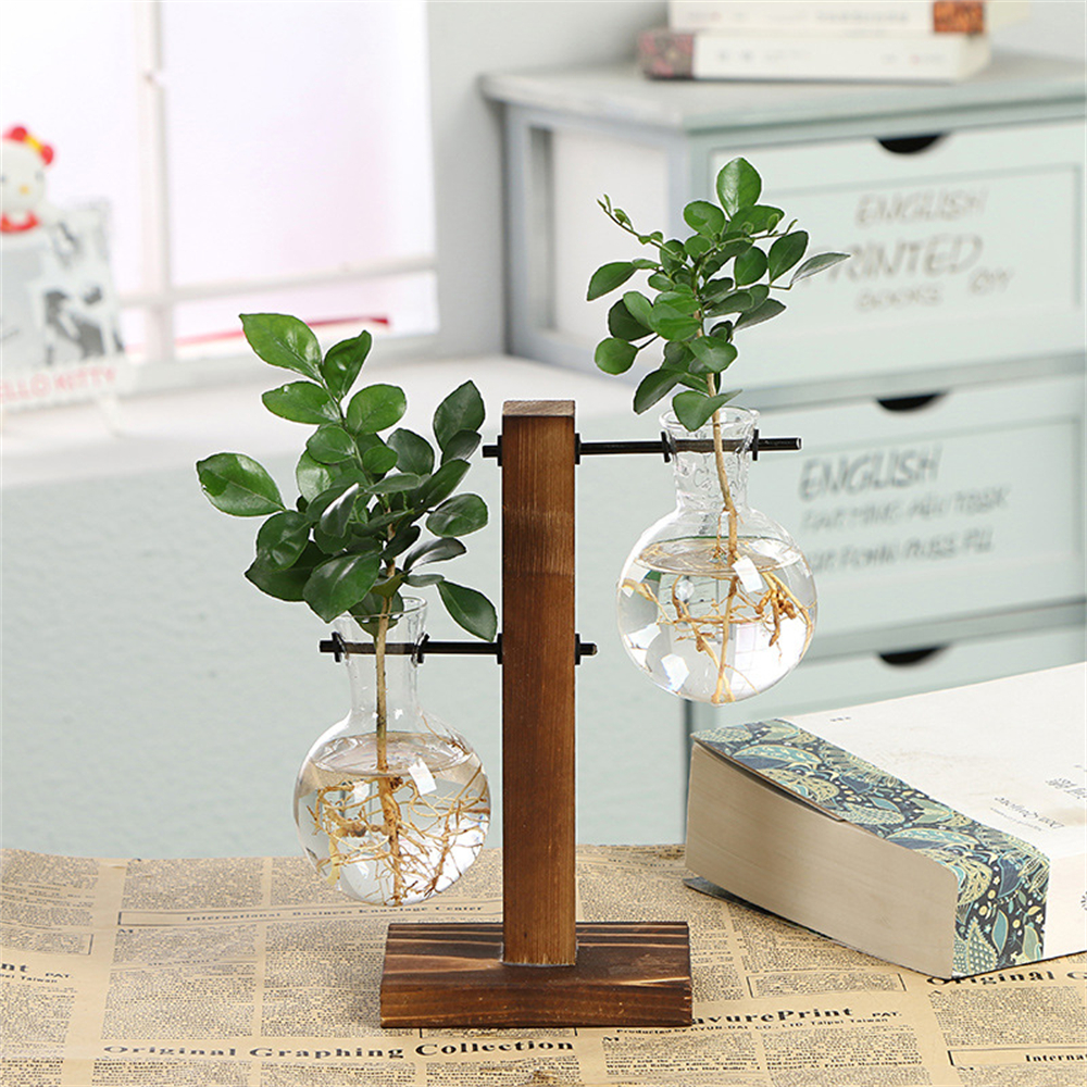 Creative Glass Terrarium Hydroponic Plant Pot with Wooden Frame